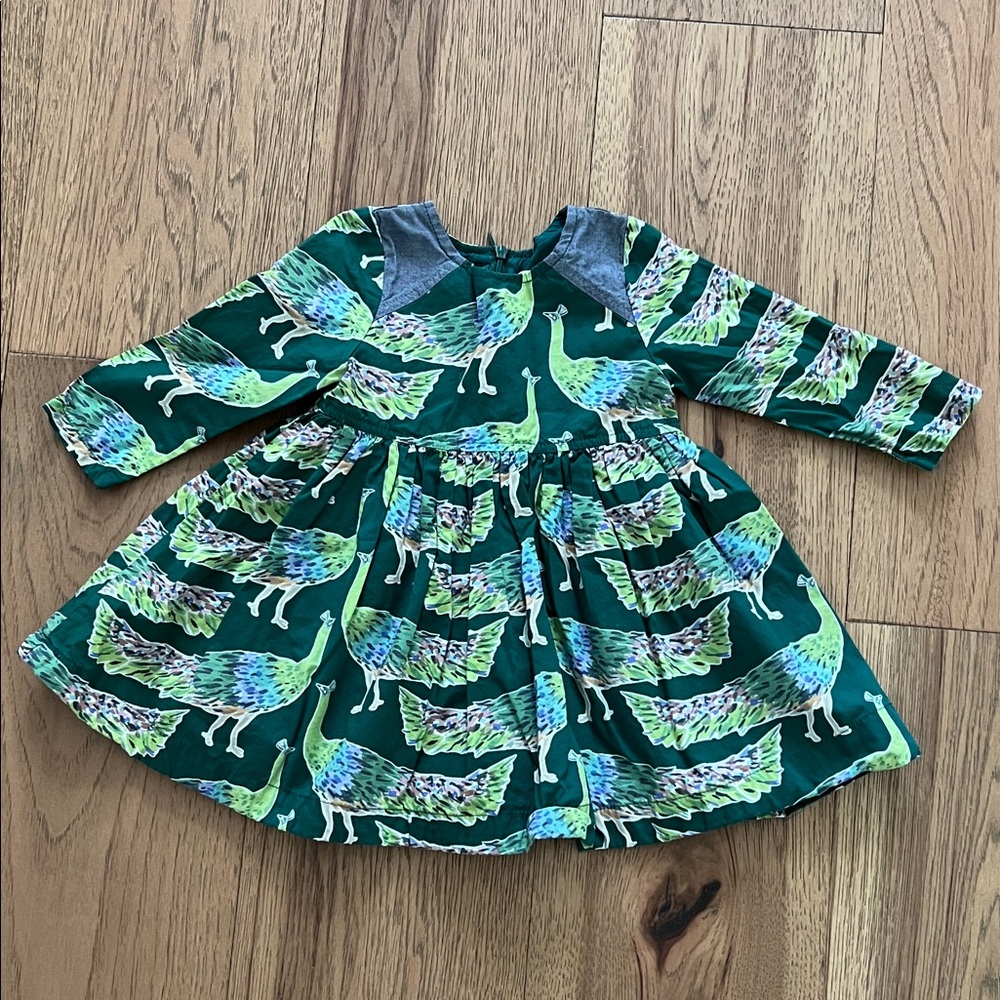 Pink Chicken Teal and Green Floral Dress